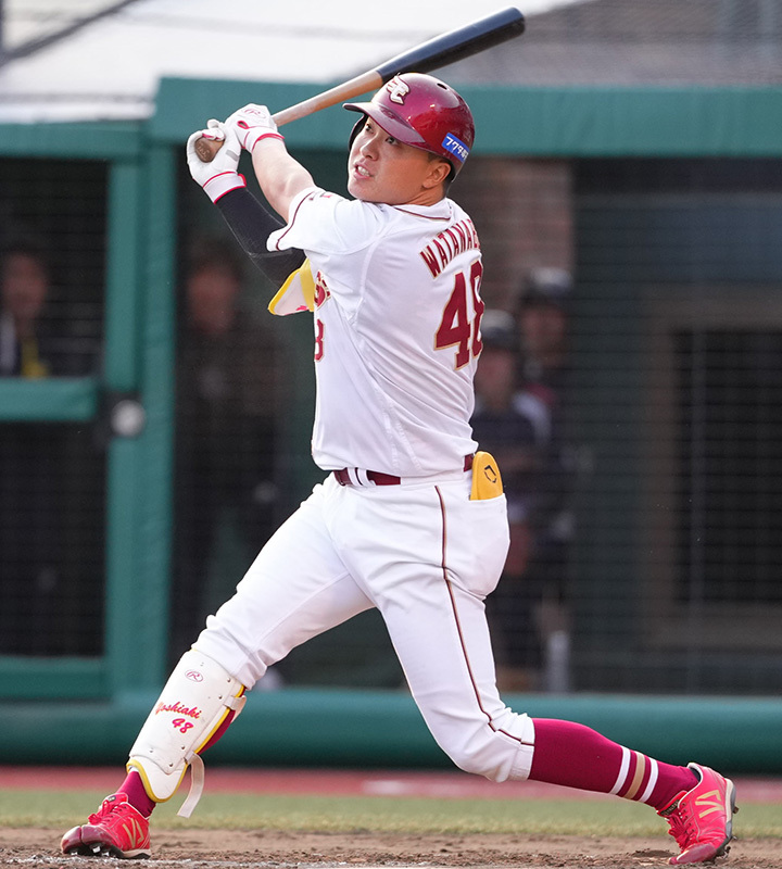 楽天　渡邊佳明 NPB バット 楽天渡邊佳明 NPB バット