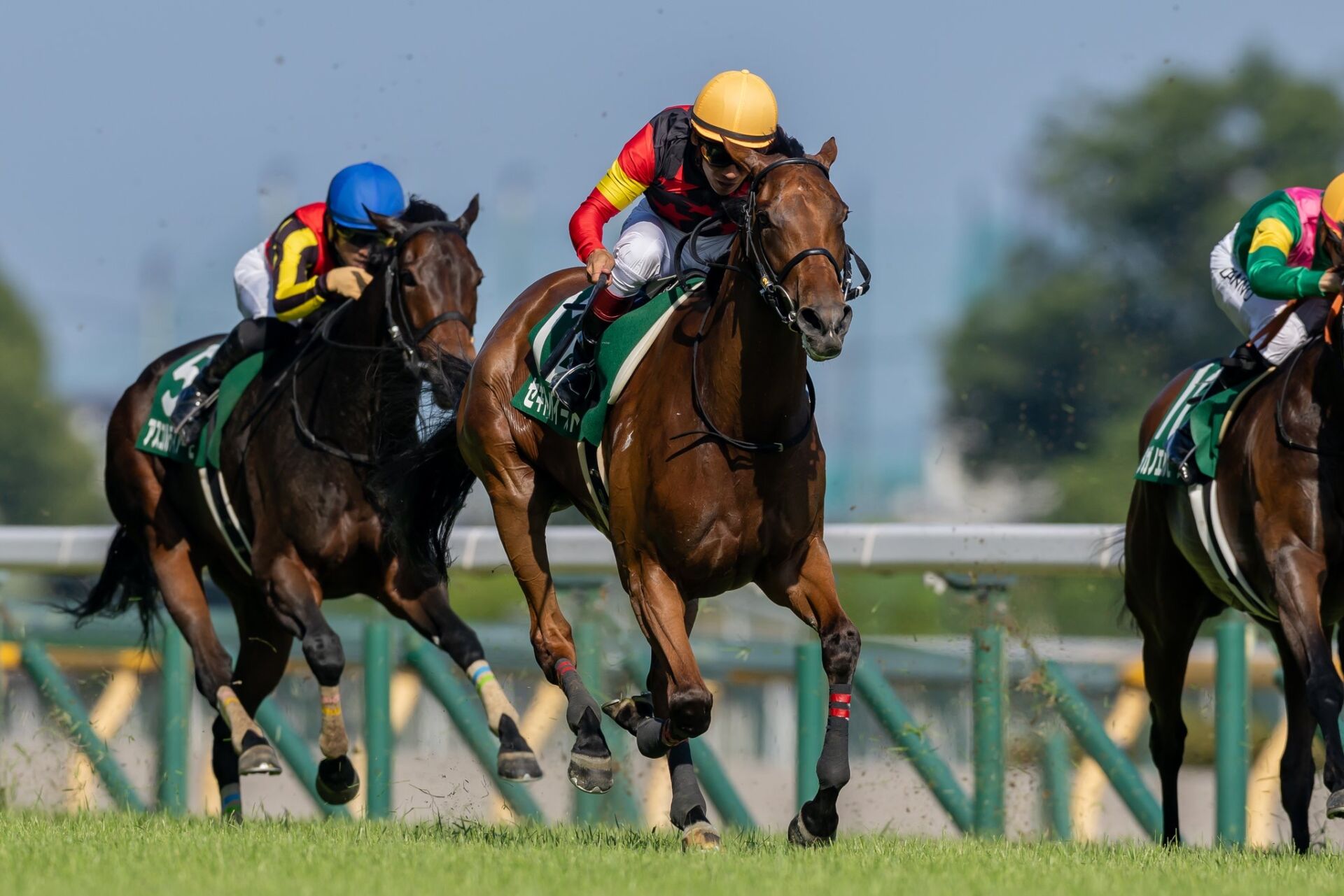 競馬 □WIN5を ～39回～ 的中させた□ 最強ロジック！！