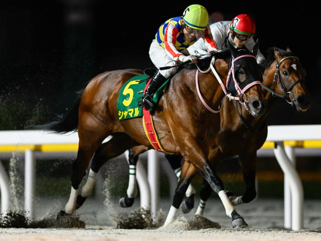 浦和・さきたま杯注目馬】上半期のダート短距離王決定戦に優駿12