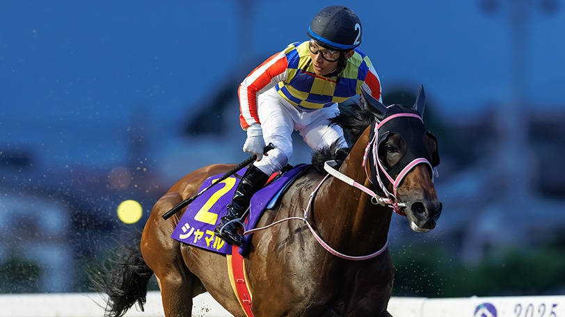 さきたま杯回顧】シャマルが5馬身差レコードV 得意の不良馬場で