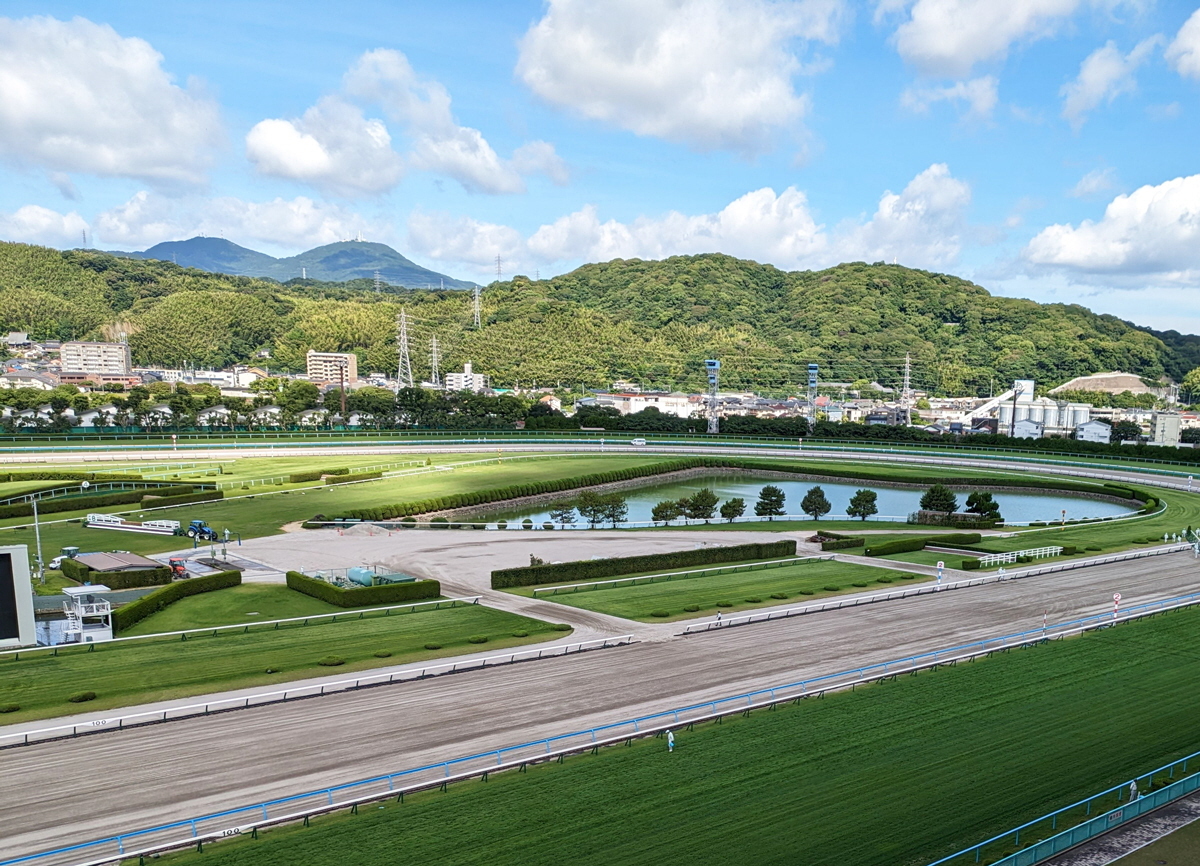 競馬「ここ」に騙されるな!—飛ぶ人気馬の謎・来る穴馬の秘密 競馬「ここ」に騙されるな!: 飛ぶ人気馬の謎来る穴馬の秘密 | 橋