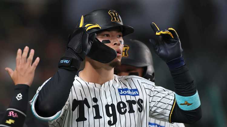 阪神タイガース・読売ジャイアンツ・ヤクルトスワローズ・ボール・練習球・プロ野球 阪神タイガース・読売ジャイアンツ・ヤクルトスワローズ・ボール