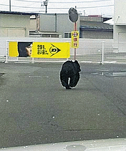 市街地走り回るクマ、２時間にわたって住宅地や店舗敷地など走り抜ける…パトカーが追跡し注意喚起