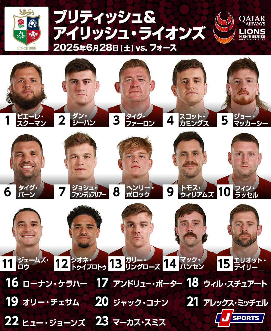 (未使用)(値引き)(NZツアー)ブリティッシュ　アイリッシュライオンズ2017 ブリティッシュアイリッシュライオンズ 2017年モデル