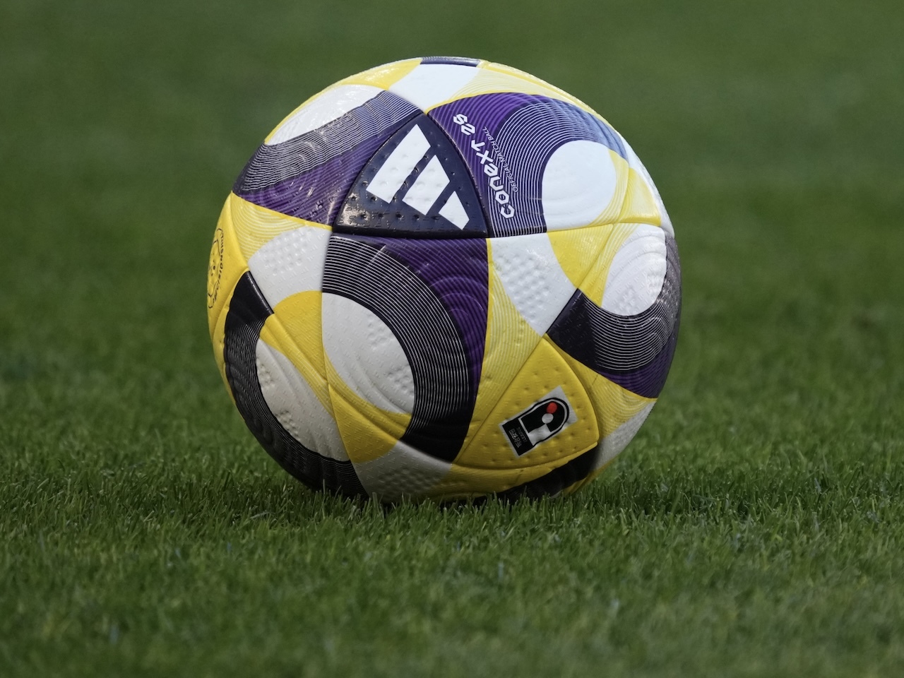 サッカー　記念品　海外　2012 江戸川フレンドリーSC | 【4年生3名ブロック選抜選出】 2/9(日