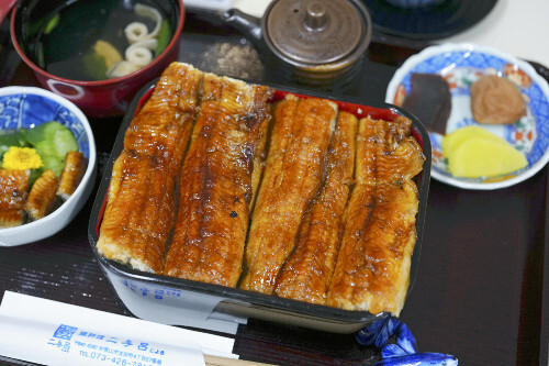 ウナギ、食卓から遠のく可能性…ワシントン条約の対象に加えるようＥＵなどが提案