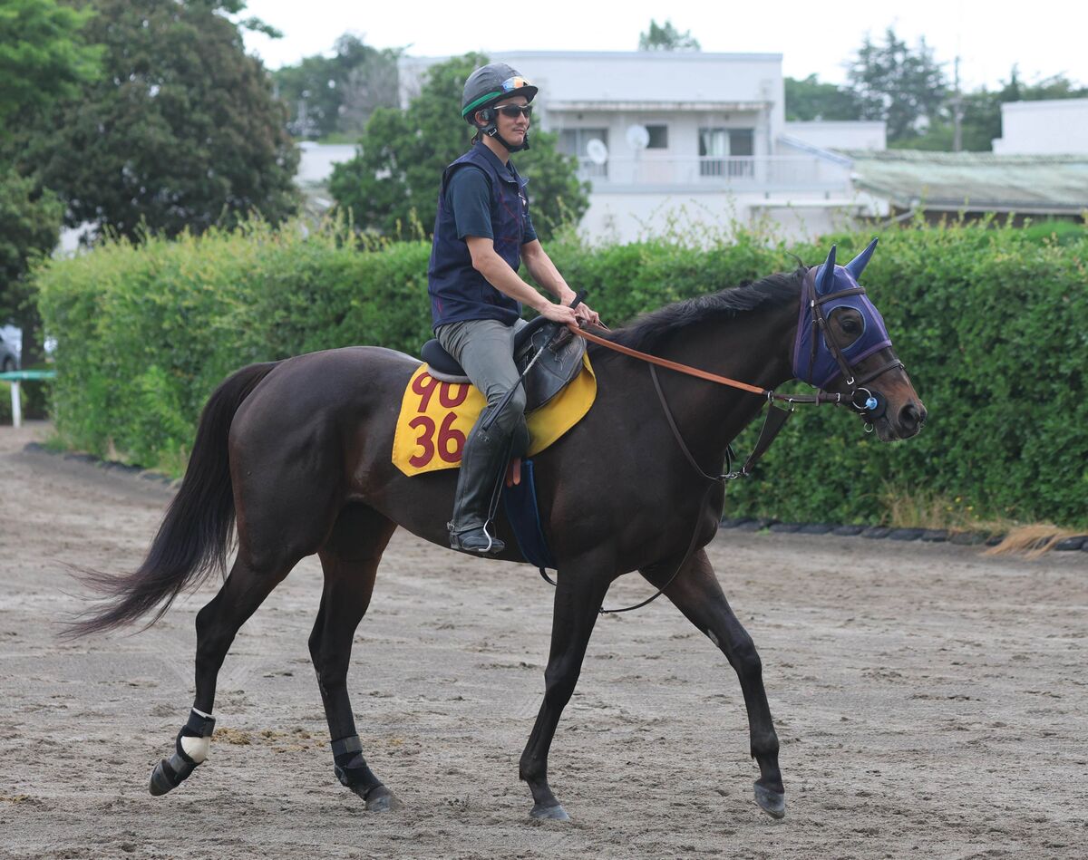 独特の上品 土曜福島競馬場の注目激走馬…福島11Rバーデンバーデンカップ その他