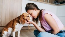 17歳の老犬、深夜に侵入したクマに立ち向かう。防犯カメラが捉えた勇敢な姿（米・カリフォルニア）