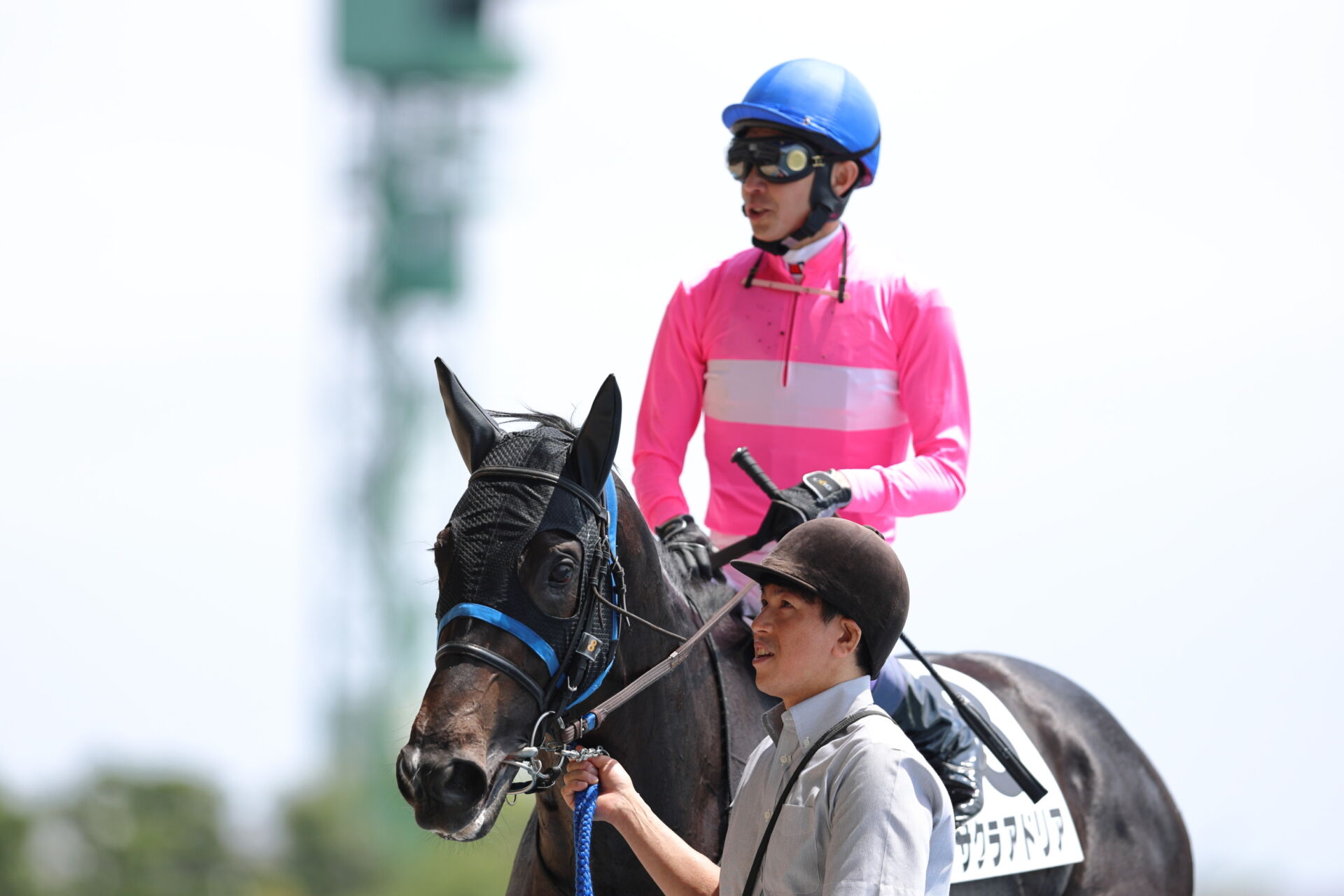 函館6R】武豊サクラアドリアが人気に応える（競馬のおはなし