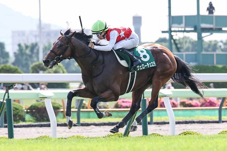 昭和にマーク 芝最古のレコード37年ぶり令和に更新！函館記念で