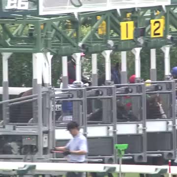 函館競馬】5Rメイクデビュー函館はロードカナロア産駒、小林美駒