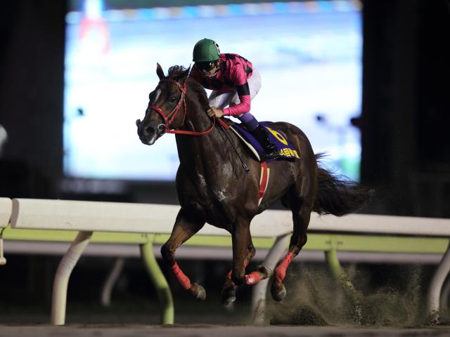 快足スマートファルコンの「9馬身差V」「2分1秒1」が燦然と輝く