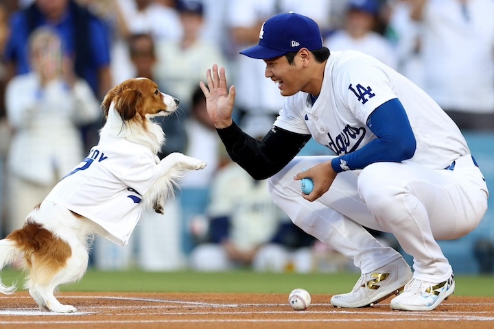 大谷翔平　デコピンちゃん 大谷翔平に並ぶ人気者！ 愛犬・デコピン、2025年のかわいすぎる