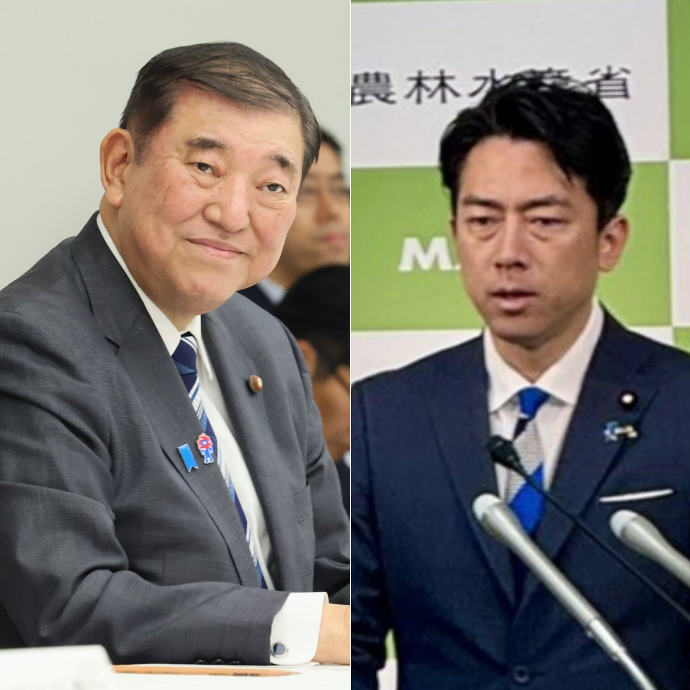 小泉進次郎農林水産大臣の演説風景 参院選に向けての活動か