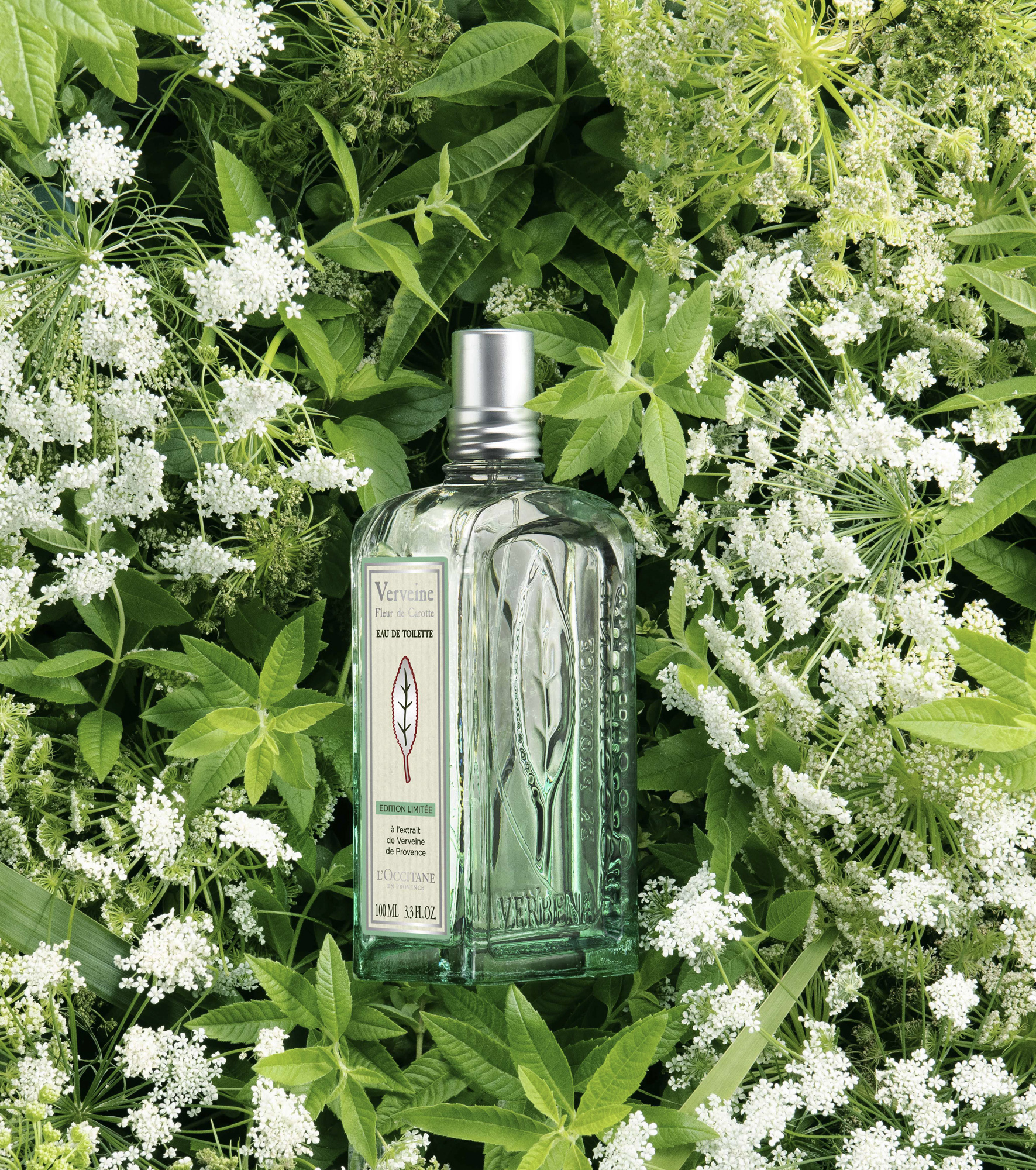 ヴァーベナ クリーンハンドジェル 65mL｜ハンドケア｜ロクシタン