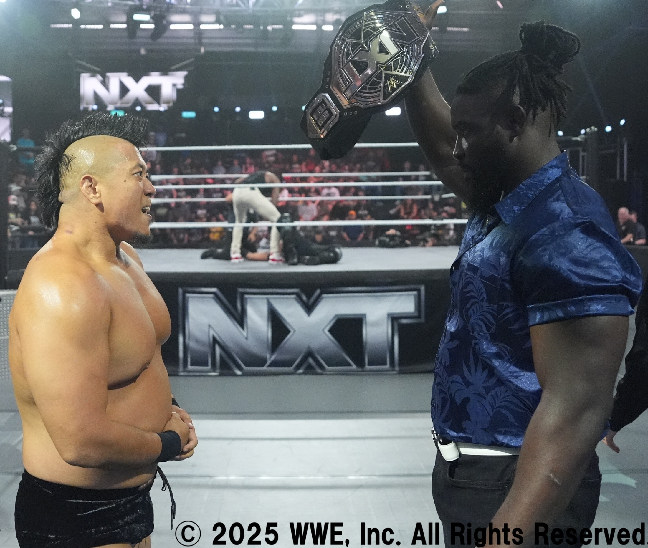 WWE NXT王座 チャンピオンベルト マテル 中邑真輔 Amazon.co.jp: NXT王座 チャンピオンベルト ネクスト プロレス