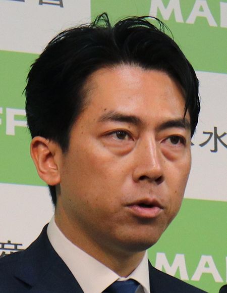 参院選の行方を予測する記事のイメージ画像