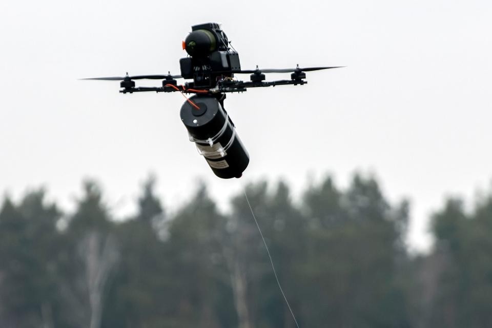 ウクライナ・セレブリャンスキー森林の地面と樹木を覆う無数の光ファイバーケーブル。有線ドローンが頻繁に使用された痕跡。