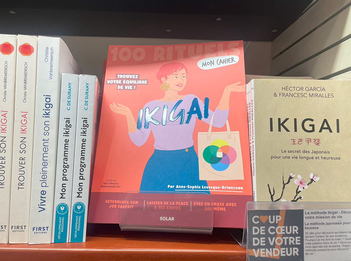 ラルース事典　フランスでの日常生活　フランス語　大型本　ハードカバー Amazon.co.jp: ラルース百科事典の芸術 フランス老舗出版社の