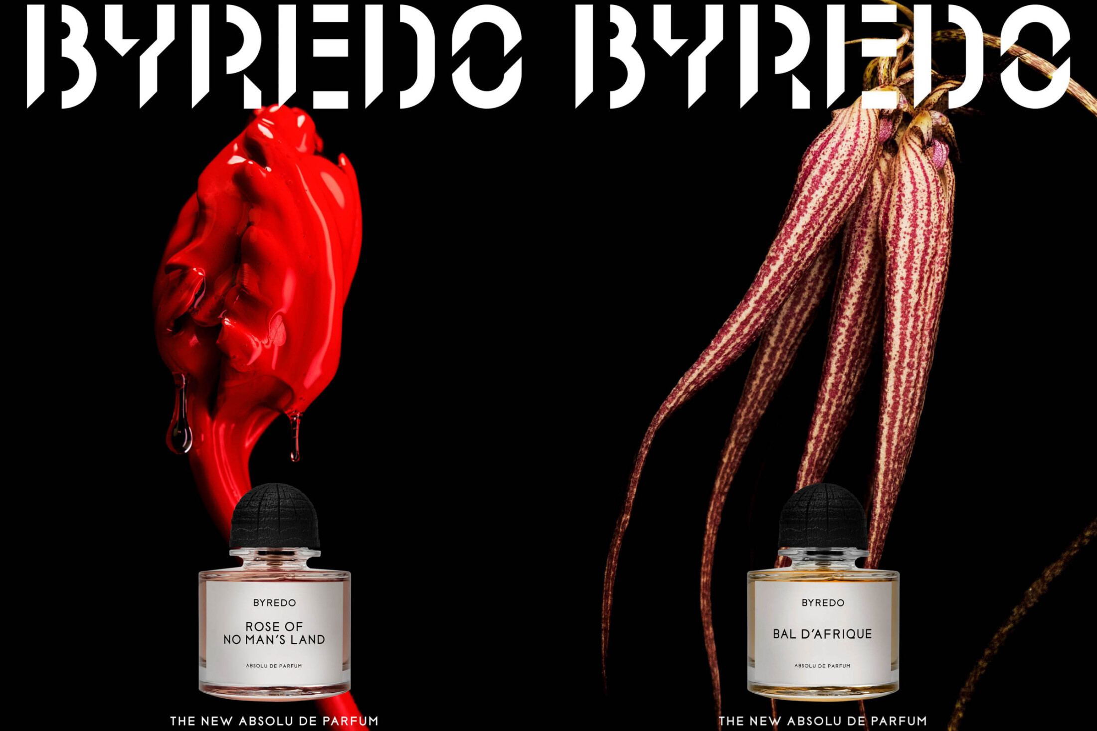 cat 　バイレード 　BYREDO アブソリュ・バルダフリック　50mL Amazon | BYREDO（バイレード） 国内正規品 オードパルファム