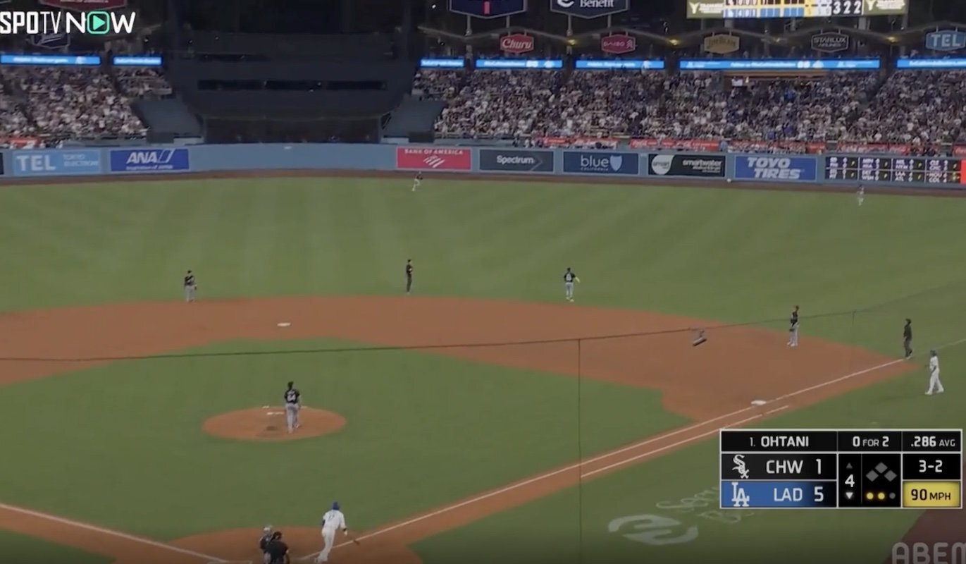 まっつんさん。専用】大谷翔平 WBC特大写真 MLBホログラム