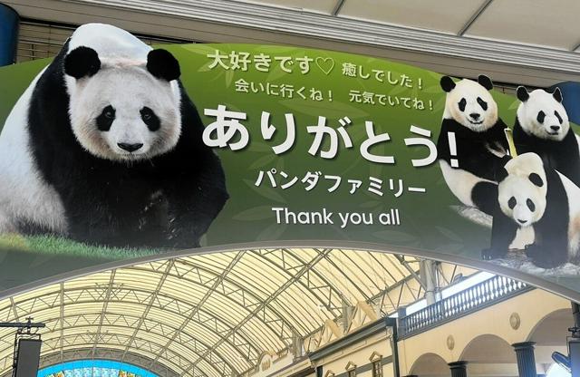 パンダがまた日本に来る日　和歌山から4頭「帰還」したけれど