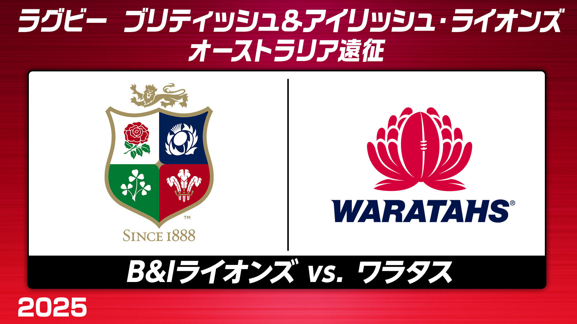 (使用済)(Auツアー)ブリティッシュ　アイリッシュライオンズ2013(値引) ラグビーの伝統を感じたいなら、この激闘を見よ