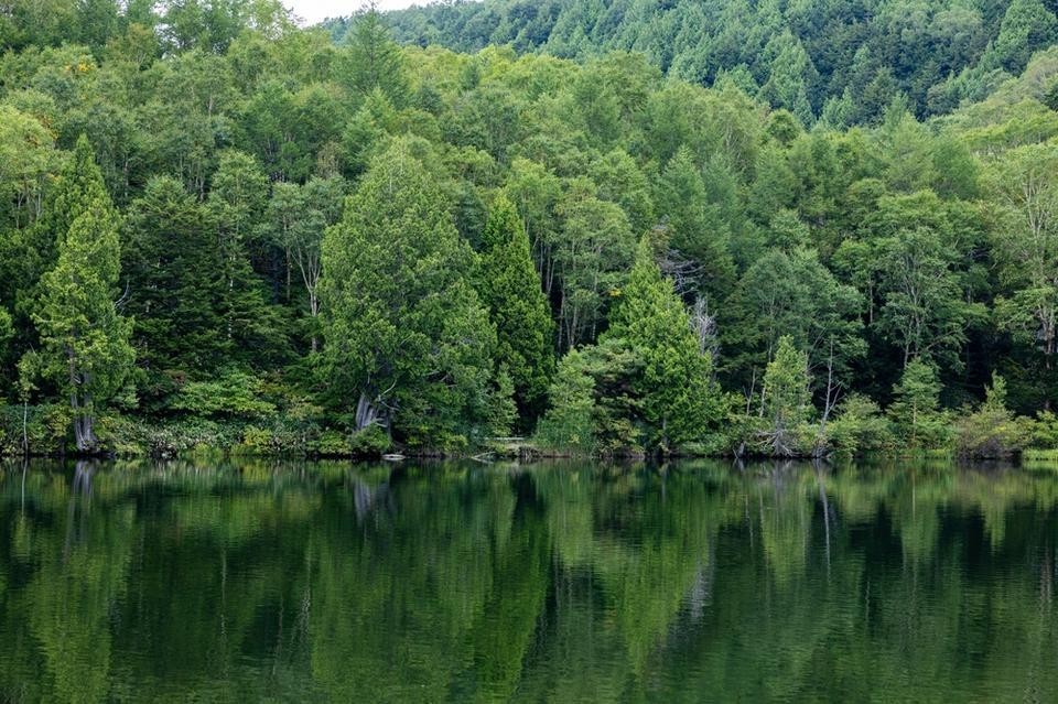 夏の青空と緑豊かな山々が広がる、涼しい高原の絶景