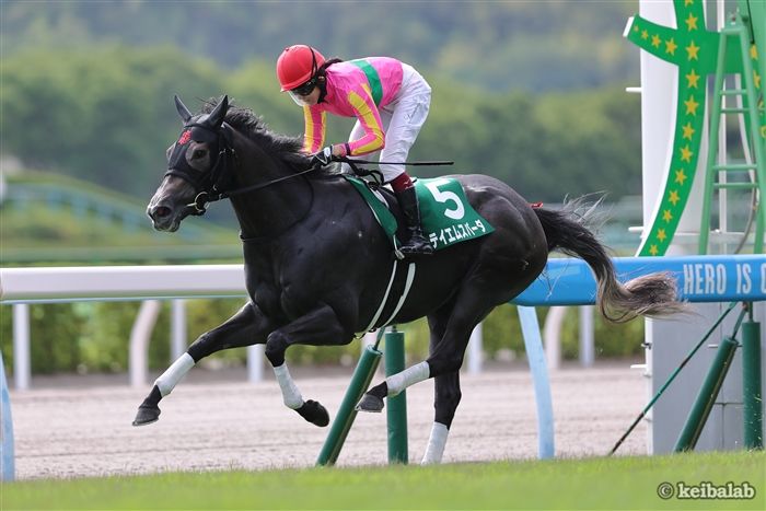 北九州記念】人気薄でもバンバン来る！激走条件を満たした「小倉