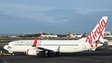 飛行機の貨物室でヘビ捕獲。失敗したら「機体を分解する羽目になっていた」と専門家（オーストラリア）