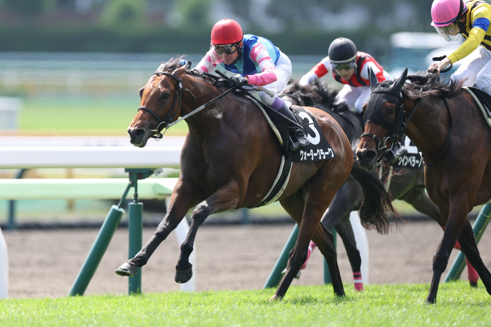 恵山特別】武豊騎手が連勝…8Rに次いでウォータークラークでV