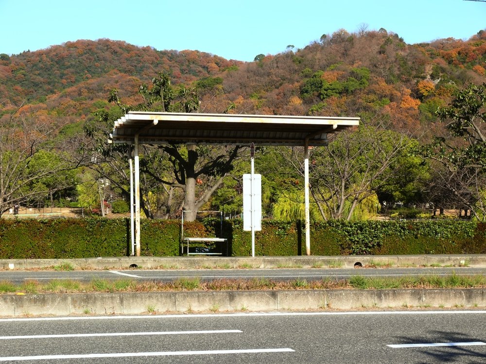 地方の静かなバス停留所。本数の少ない公共交通が、地域の移動格差の一因となっている様子。