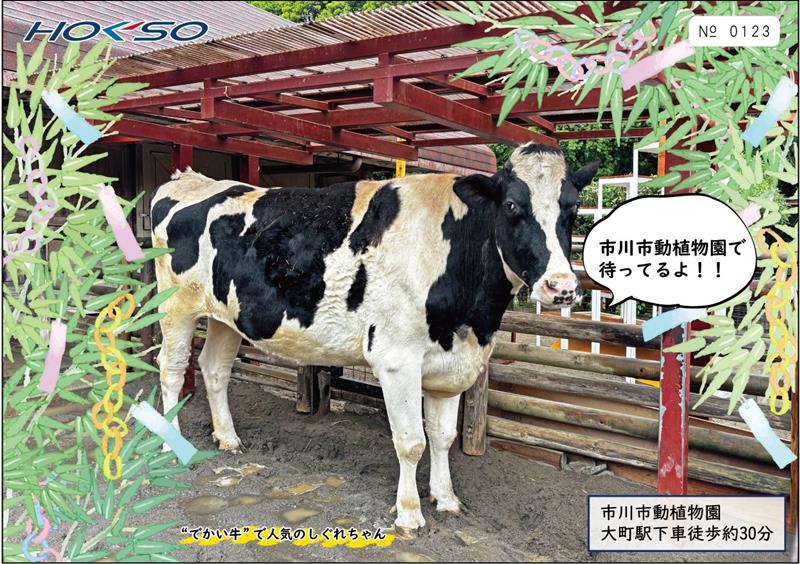 令和7年7月7日 ゾロ目こだわり 記念切符セット、7日発売 北総