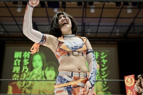女子プロレス団体ディアナの選手たち、アスリート盗撮問題で法的措置