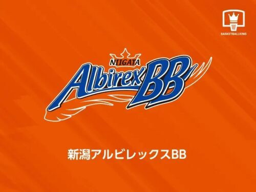 川村卓也 リバーシブルタンクトップ 新潟アルビレックスBB 川村卓也 リバーシブルタンクトップ 新潟アルビレックスBB