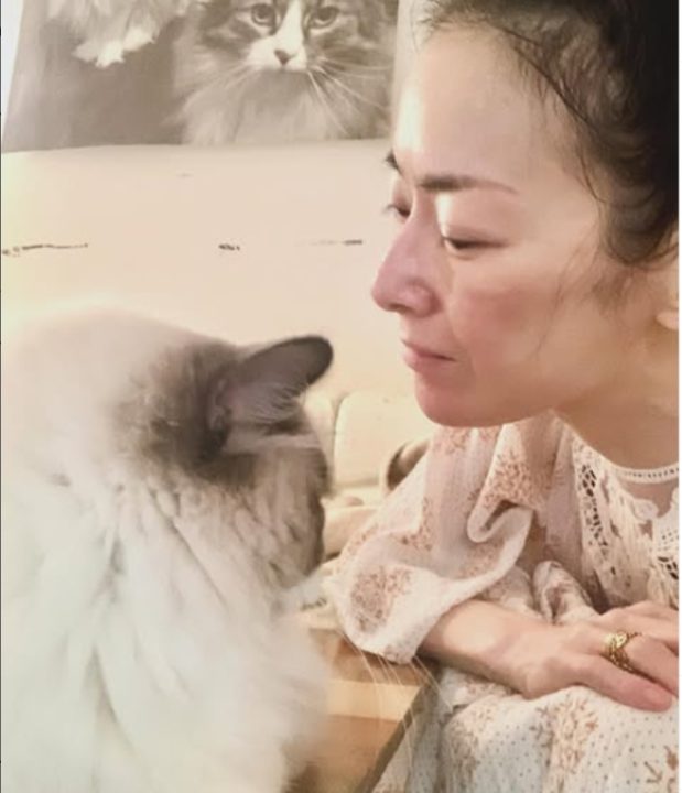 遠野なぎこさんの自宅で安否が心配された愛猫ラグドールの愁くん