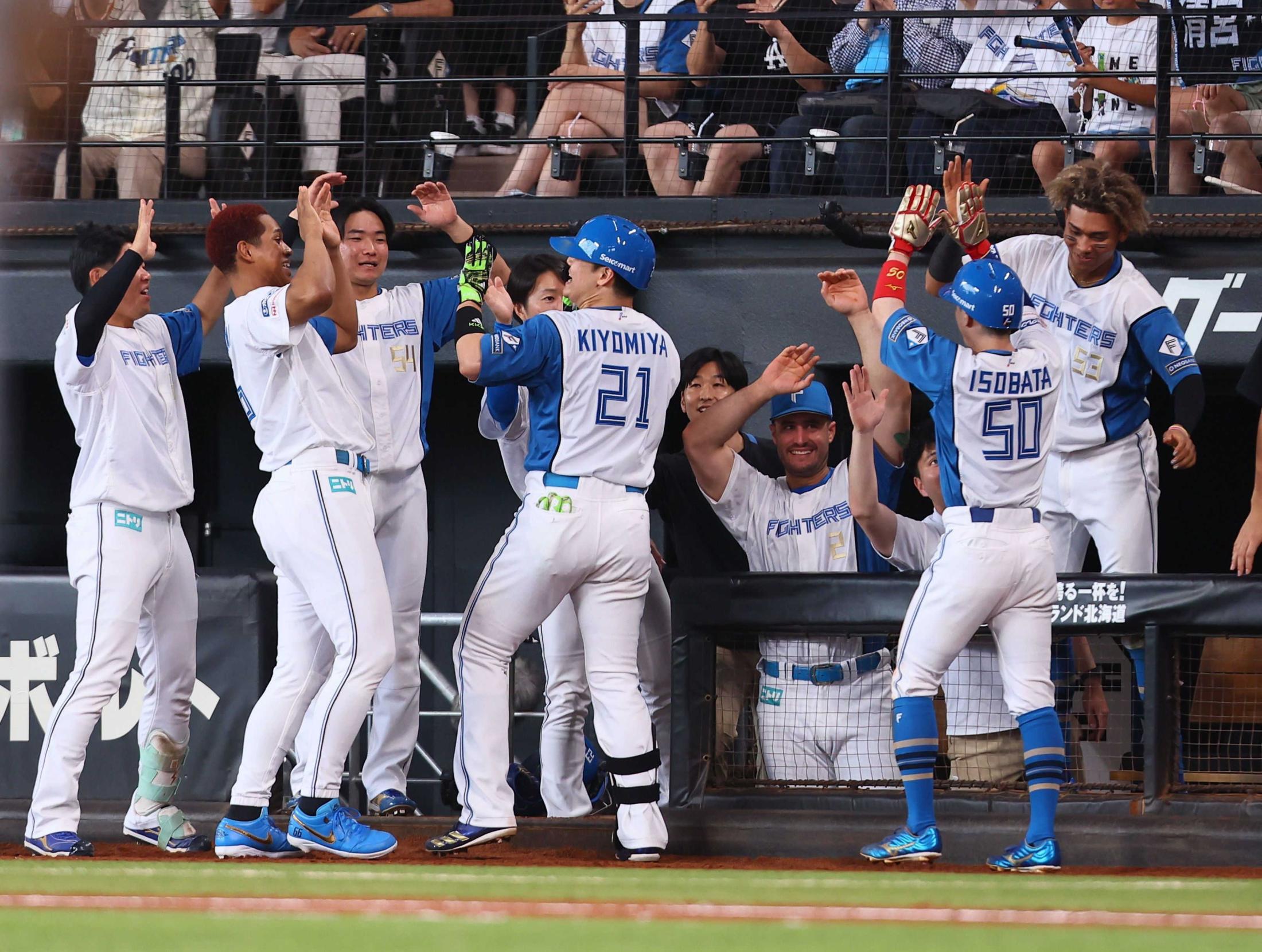 日ハム　楽天　オリックス　ロッテ　阪神　ヤクルト　巨人　応援幕　応援ボード　野球 日ハム 楽天 オリックス ロッテ 阪神 ヤクルト 巨人 応援幕 野村
