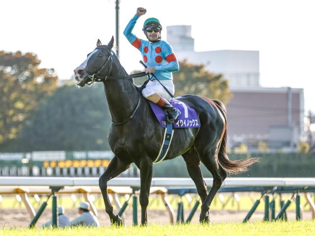 セレクトセール初登場のイクイノックス産駒 今年の注目上場馬は