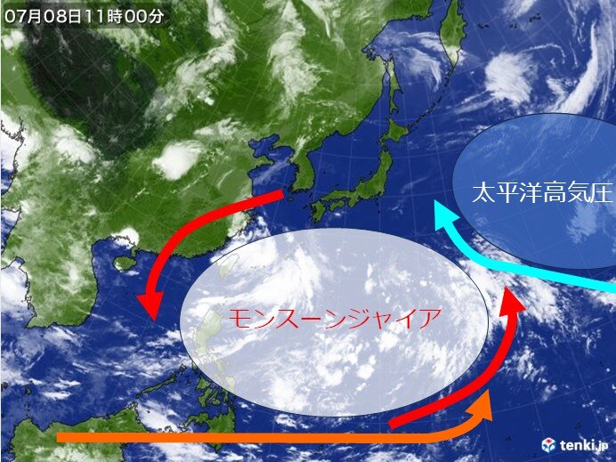 日本の南海上に位置する大きな低圧部と台風第4号を示す気象衛星画像