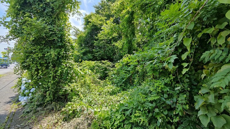 1万円で購入された那須塩原市の分譲地内の私道。県道によって一部が分断されている様子。