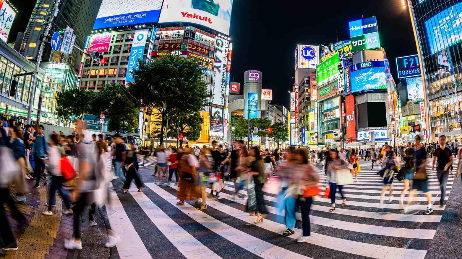 日本の将来の高齢化率や人口減少の傾向を示すイメージ