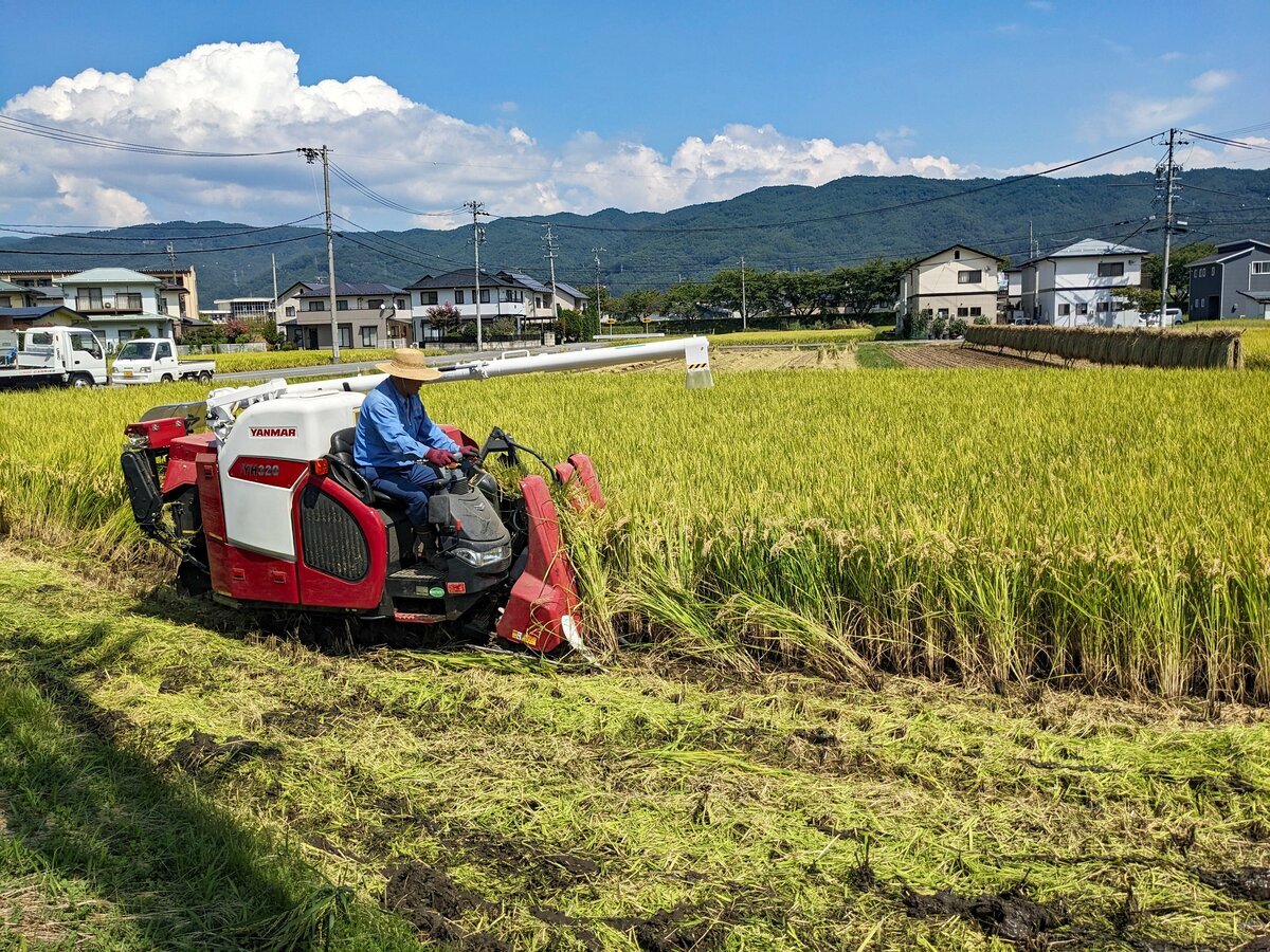 スーパーの米売り場に並ぶ米袋。消費者米価の価格形成力を握る大手スーパーの流通チャネルを示す。