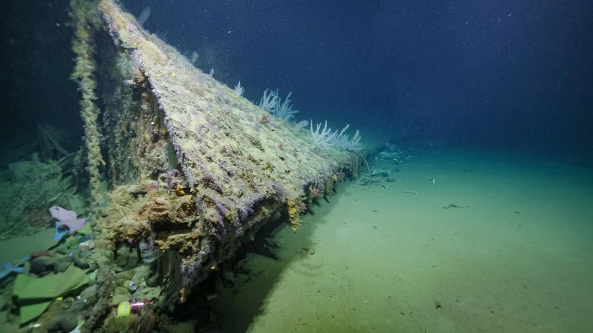 ソロモン諸島アイアンボトムサウンドの水深675m地点で発見された、第二次世界大戦時の米巡洋艦USSニューオーリンズの艦首。
