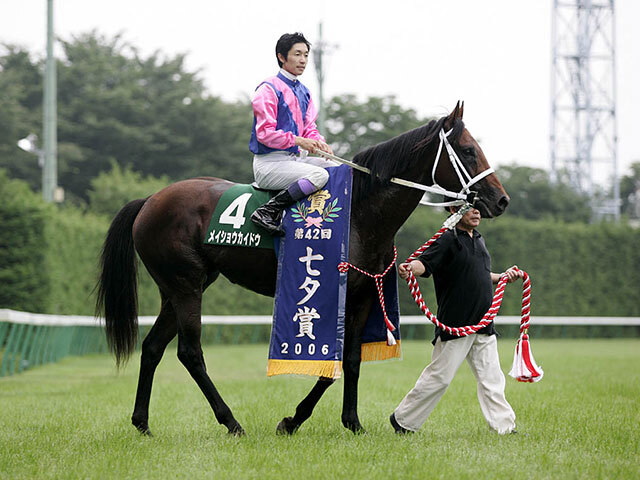 競馬ポスターB1：メイショウカイドウ 「2014年 第50回 小倉記念」 功労馬 | メイショウカイドウ