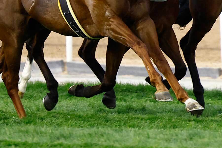 川崎競馬で大珍事が発生!!3頭が2着同着 ファンも驚き「見たこと