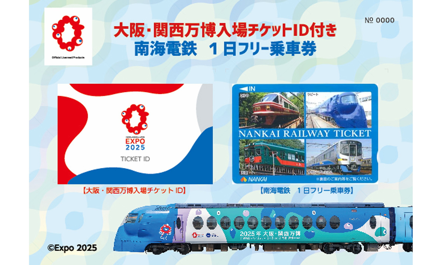 南海電鉄 110周年記念 百十駅入場券 - メルカリ