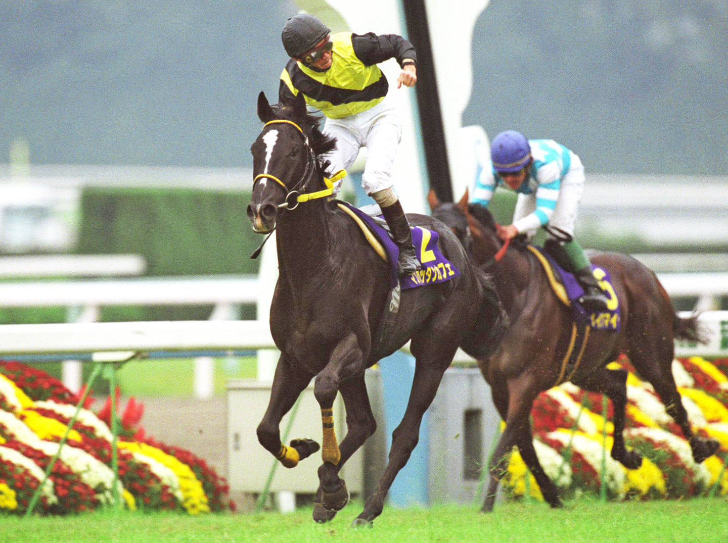 週刊ギャロップ100名馬 マンハッタンカフェ 趣味