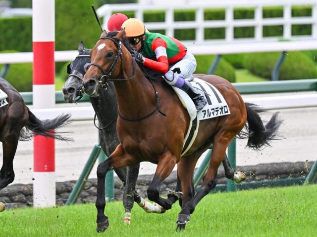 キタサンブラック＆レイデオロ 北斗特別】半兄は名馬キタサンブラック アルマデオロが連勝なる