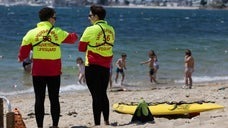 「海で鹿を助けるなんて聞いたことない」荒波とサメをかいくぐった米フロリダビーチの救出劇