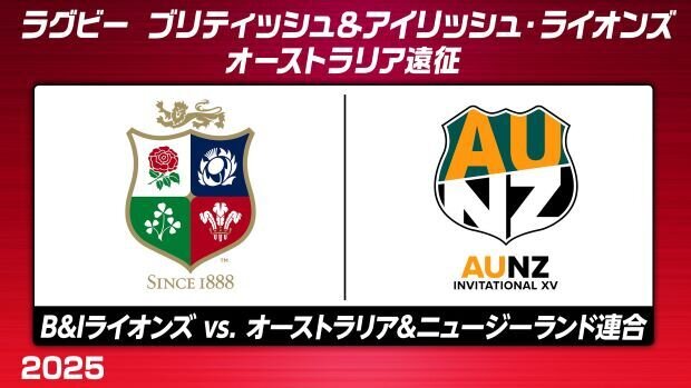 (未使用)(値引き)(NZツアー)ブリティッシュ　アイリッシュライオンズ2017 ブリティッシュアイリッシュライオンズ 2017年モデル